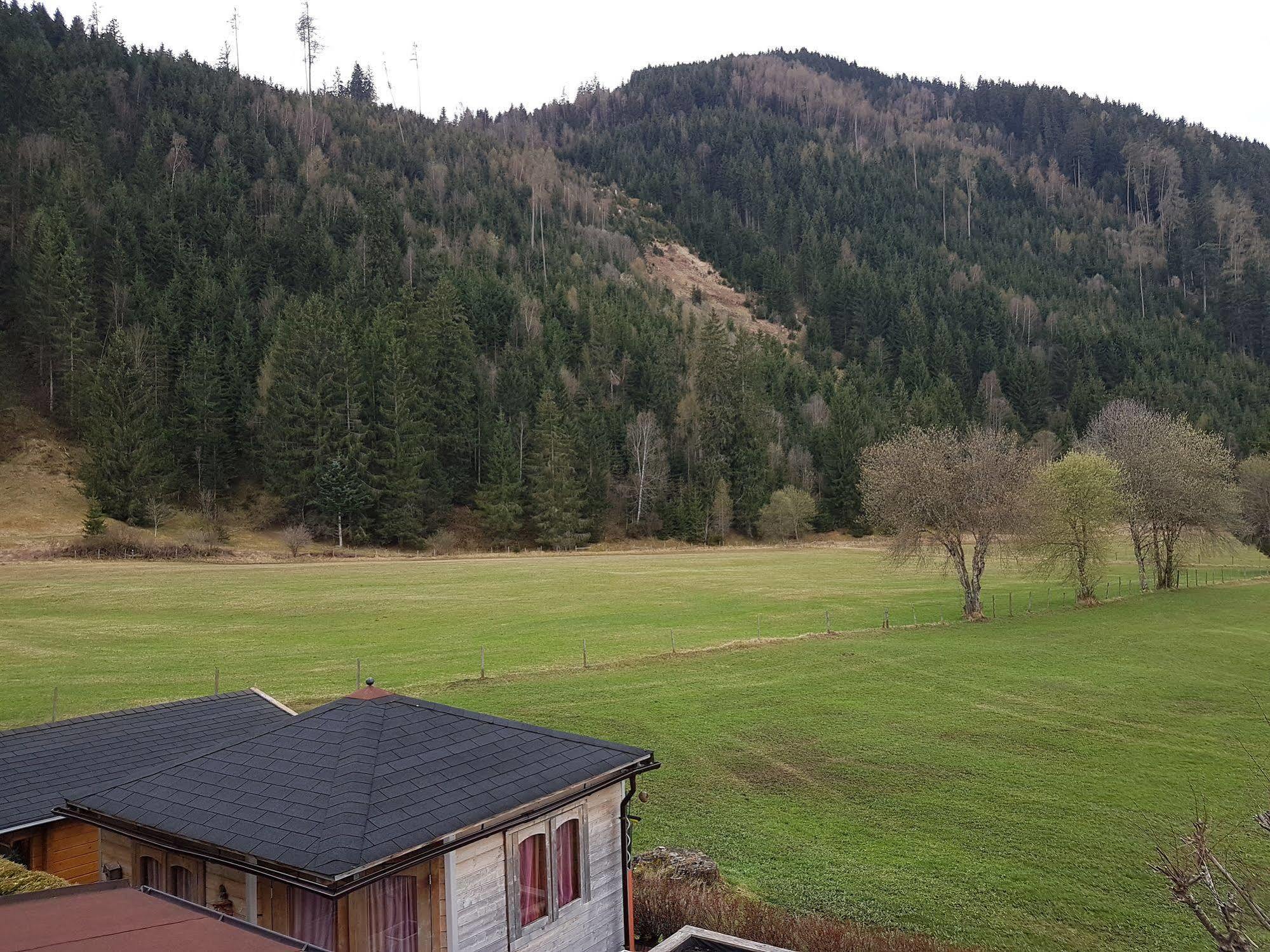 Das Taubenhaus Hollersbach im Pinzgau Ngoại thất bức ảnh